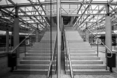 street-photo-walk-2019-2