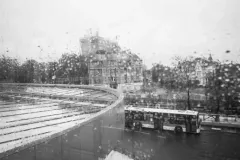 street-photo-walk-2019-22