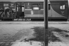 street-photo-walk-2019-24