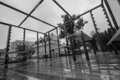 street-photo-walk-2019-5