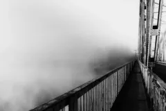 Szmidt-Żółkiewska Katarzyna