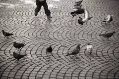 Szmidt-Żółkiewska Katarzyna