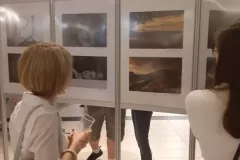 V-doroczna-wystawa-ZTF-20