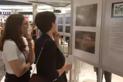 V-doroczna-wystawa-ZTF-26