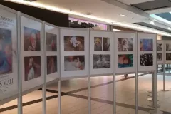 V-doroczna-wystawa-ZTF-30