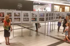 V-doroczna-wystawa-ZTF-36