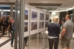 V-doroczna-wystawa-ZTF-50