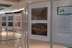 V-doroczna-wystawa-ZTF-54