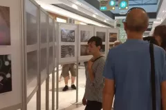 V-doroczna-wystawa-ZTF-56