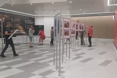 VII-doroczna-wystawa-ztf-2