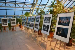 wernisaz-zatonie-2017-25