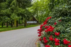 Wojciech Zieleniewski