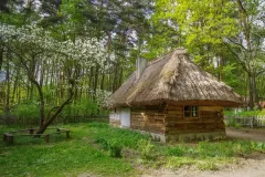 Wojciech Zieleniewski