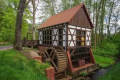 Wojciech Zieleniewski