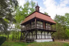 Wojciech Zieleniewski