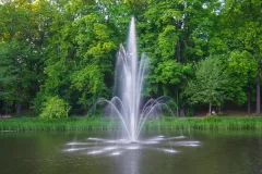 Wojciech Zieleniewski