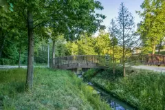 Wojciech Zieleniewski