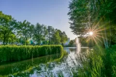 Wojciech Zieleniewski