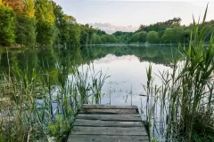 Wojciech Zieleniewski