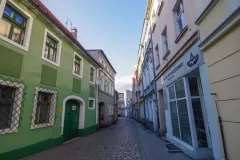 Wojciech Zieleniewski