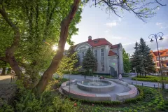 Wojciech Zieleniewski