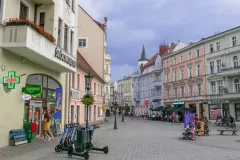 Wojciech Zieleniewski0