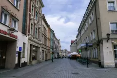 Wojciech Zieleniewski