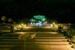 Wojciech Zieleniewski