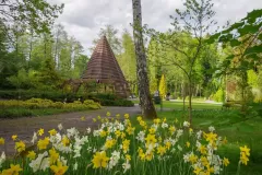 Wojciech Zieleniewski