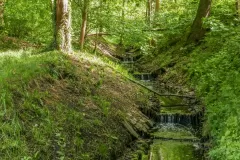 Wojciech Zieleniewski