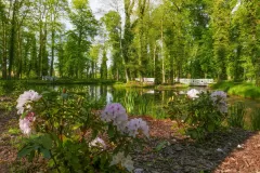 Wojciech Zieleniewski