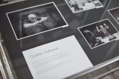 wystawa-twarze-zielonej-gory-35