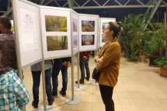 wystawa-cztery-pory-roku-i-bieszczady-2020-2