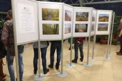 wystawa-cztery-pory-roku-i-bieszczady-2020-3