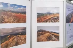 wystawa-cztery-pory-roku-i-bieszczady-2020-33