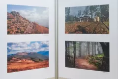 wystawa-cztery-pory-roku-i-bieszczady-2020-39