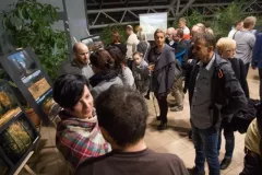 wystawa-jesienne-malowanie-2015-17