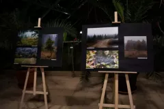 wystawa-jesienne-malowanie-2015-38