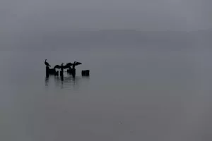 WYSTAWY KRAJOBRAZ - LUBUSKIE JEZIORA