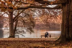 Anna Bliskowska - Jezioro Trzesniowskie-Ciecz