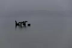 Anna Ramos - Jezioro Nieslysz