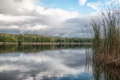 Arkadiusz Siuda - Jezioro Wojnowskie