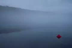 Katarzyna Żółkiewska - Jezioro Gryzynskie