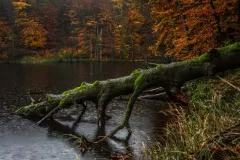 Malgorzata Chomont - Jezioro Solecko