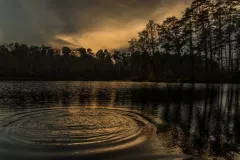 Malgorzata Chomont - Jezioro Solecko