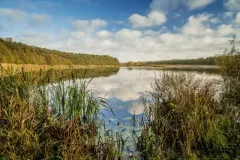 Marzena Dempska - Jezioro Wojnowskie