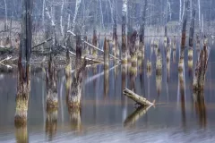 Pawel Sulatycki - Jezioro Afryka