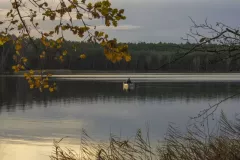 Wojciech Zieleniewski - Jezioro Dabie Duze