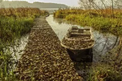 Wojciech Zieleniewski - Jezioro Gadkowskie Wielkie