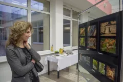 wystawa-w-magicznym-zakatku-2016-11